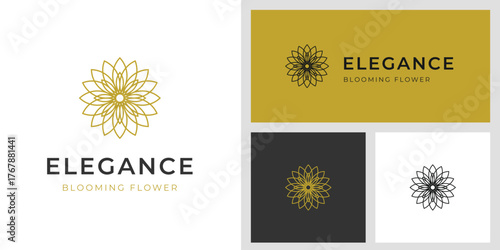 Elegance Abstract beauty flower logo design. Floral ornament design graphic elements