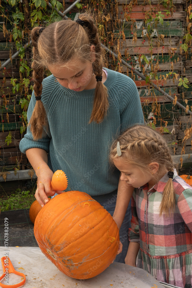 Fototapeta premium Young girl and child engaged in pumpkin carving activity outdoors, showcasing creativity and teamwork while preparing for autumn festivities with vibrant orange pumpkins
