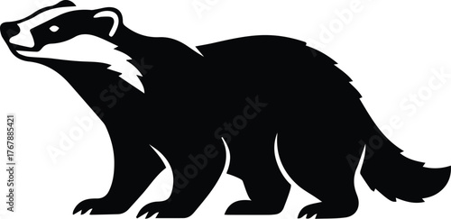 American Badger Vector Silhouette Wildlife Illustration Design