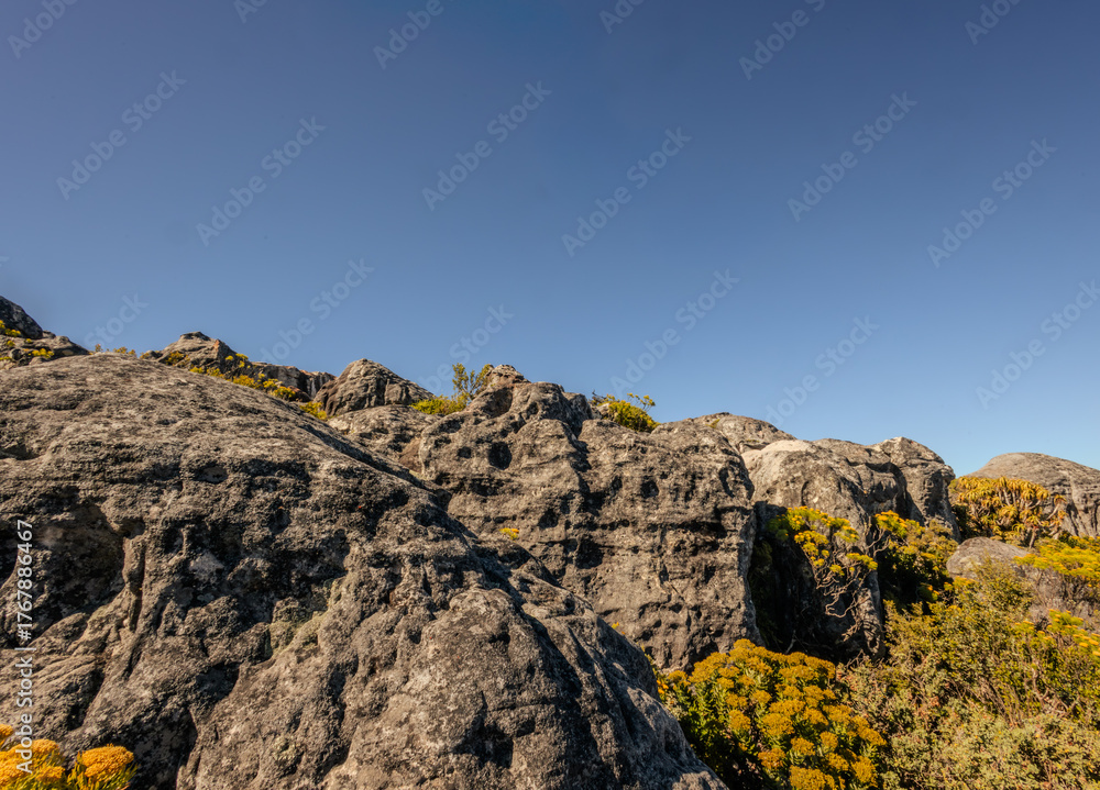 Fototapeta premium mountain landscape with rocks