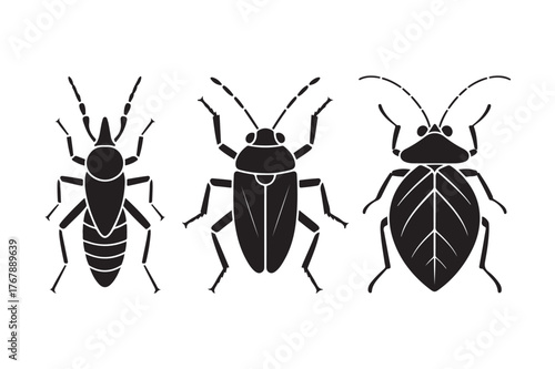 Three black silhouette insects on a white background