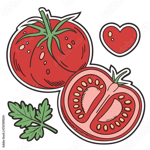 Tomato vector, tomato slice vector, tomato wedge vector, tomato illustration, 