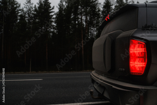 cinemastyle scene of forest road at night, reflective wet asphalt with pine silhouettes and overcast
