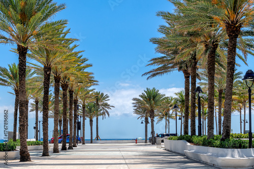 Beautiful walkway with palm trees in a seaside city, leading to the beach, Fort Lauderdale, Florida, avenue, 