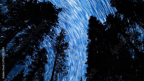 Sequoia National Park Star Trails of Polaris North Star in North Sky Astrophotography Time Lapse in California USA
