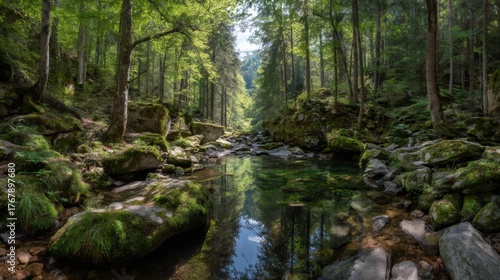 Forest stream flowing through a lush green landscape with moss covered rocks and tall trees reflecting in clear water