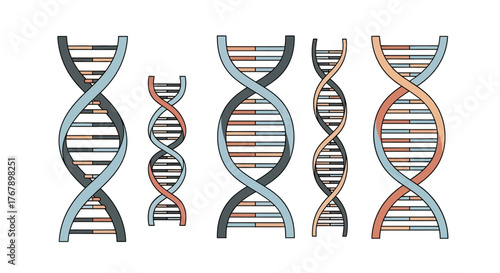 Set of colorful DNA double helix structures.