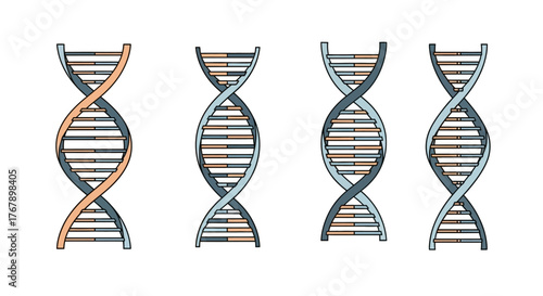 Set of Four DNA Double Helix Structures Illustrations.