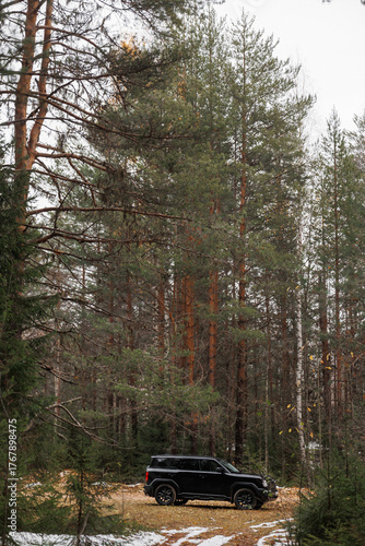 remote exploration scene showcasing rugged suv amid snowcovered pines and textured forest floor