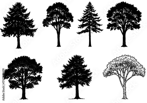 Tree silhouette and outline collection, diverse forest design, botanical illustration, landscape element, foliage art, ecology concept, natural growth, environment, nature.eps