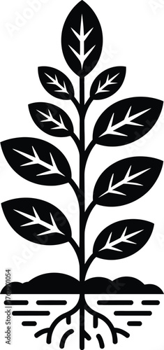 Plant with Roots Silhouette – Growing Seedling and Leaf Vector Illustration
