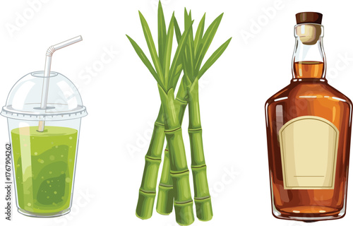 Sugarcane product vector illustration, green juice in cup, sugarcane stalks, brown liquor bottle, white background for beverage, culinary, and design use