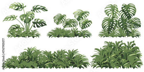 set of green grass and leaves. tropical jungle leaf.isolated, tree, leaf, plant,  