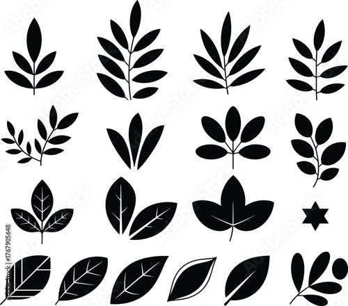 Leaf silhouette vector illustration, twenty black botanical shapes in grid layout, diverse leaf structures, white background for plant design reference