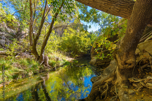 Autumn Reflections Along the Flume Trail behind Watson Lake in Prescott, Arizona