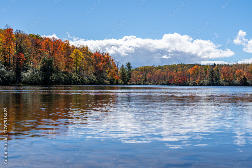Obraz premium A calm lake reflects the brilliant autumn colors of surrounding trees and a sky filled with white clouds on a crisp fall day.