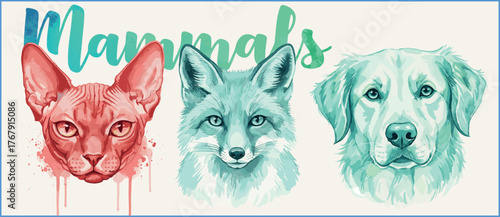 Colorful watercolor animal portraits of sphynx cat, arctic fox, and golden retriever