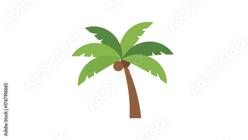 A cartoon-style illustration of a palm tree with green fronds and brown trunk on white background