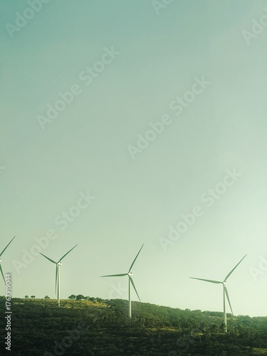 wind turbine in the field