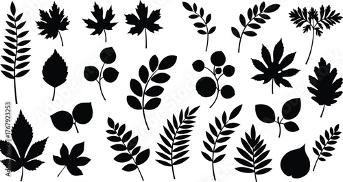 Leaf silhouettes grid cartoon illustration, symbolic botanical diversity and expressive foliage form artwork for design, nature, and education