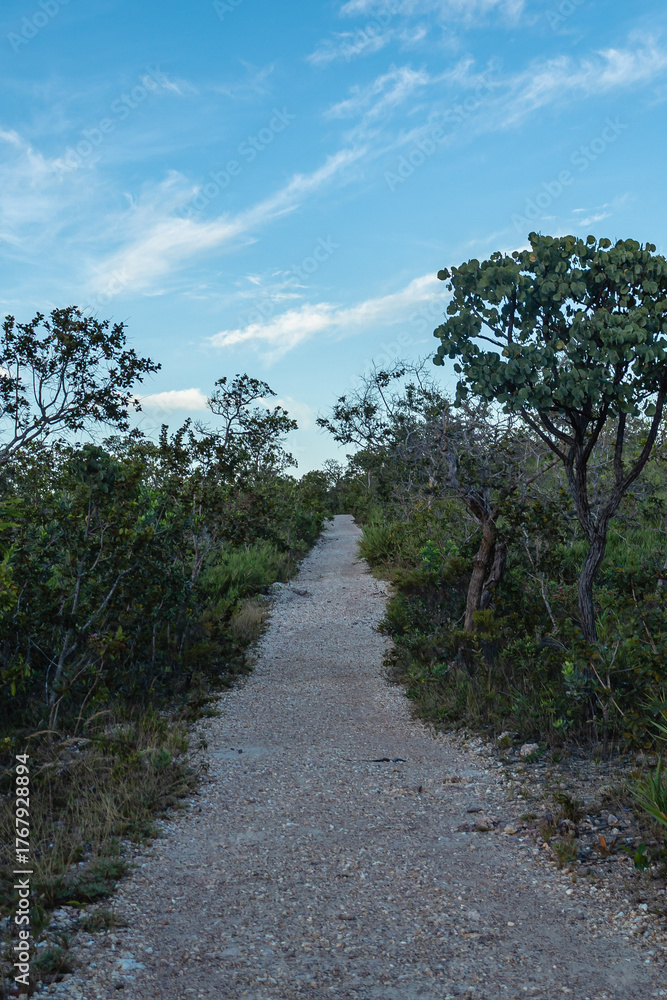 Fototapeta premium Trilha na cidade de Paranã, Estado de Tocantins, região das Serras Gerais, Brasil
