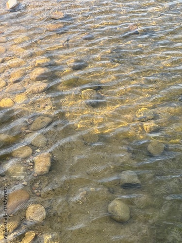 view of stones in the water