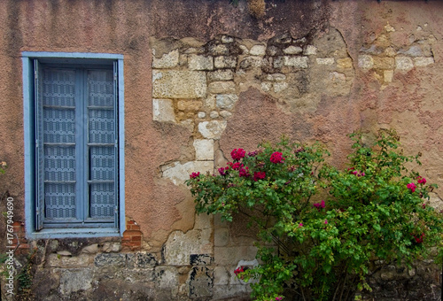 Old stone Wall with Blue window and green plant