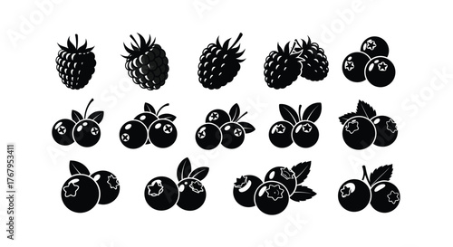 Collection of black and white berry illustrations