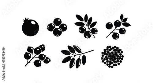 Black silhouette illustrations of various berries and fruits