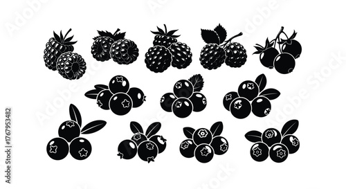 Black and white illustrations of various berries