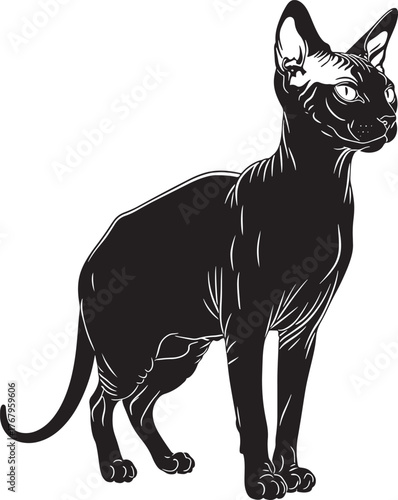 Elegant black sphynx cat silhouette standing proudly showing its unique appearance and graceful form a captivating pet image