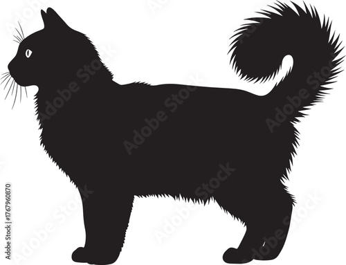 Graceful long-haired cat silhouette standing profile view elegant feline shape for design projects