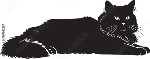 Majestic fluffy black cat silhouette resting elegantly with bright white eyes captured in a striking design