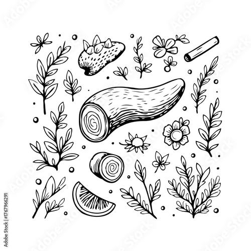 Botanical Elements Ink Drawn with Wood and Plant Life for Decorative Accent Pieces and Designs