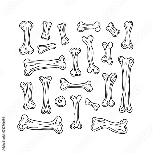 Collection of scattered skeletal bones in a whimsical drawing showcases anatomical diversity