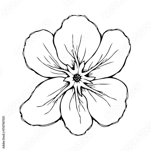Delicate floral drawing showcases intricate botanical art in monochrome simplicity for print and
