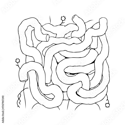 Detailed illustration of intestines, exploring digestive system intricacies and emphasizing health