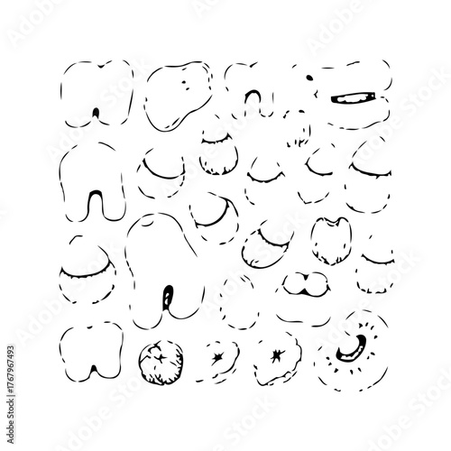 Diverse tooth shapes and dental element drawings on a white backdrop creates visual intrigue and