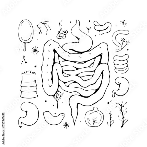Doodle style intestinal tract illustration showcasing human anatomy a charming and informative