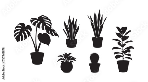 A series of silhouettes showcasing indoor plants. Vector set. Vector illustration
