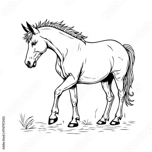 Elegant equine sketch: A stylized black and white drawing depicting a horse in motion showcasing