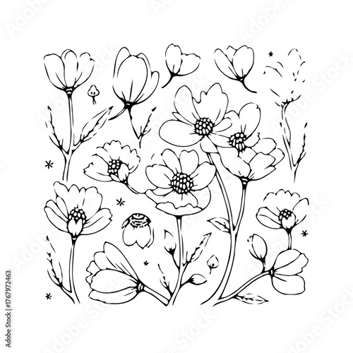 Elegant floral outline illustration featuring blossoming botanical elements and delicate stem