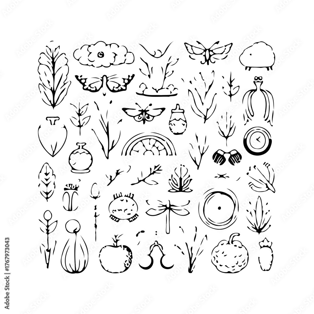 Fototapeta premium Hand drawn design elements set with floral botanical whimsical shapes creating nature illustration