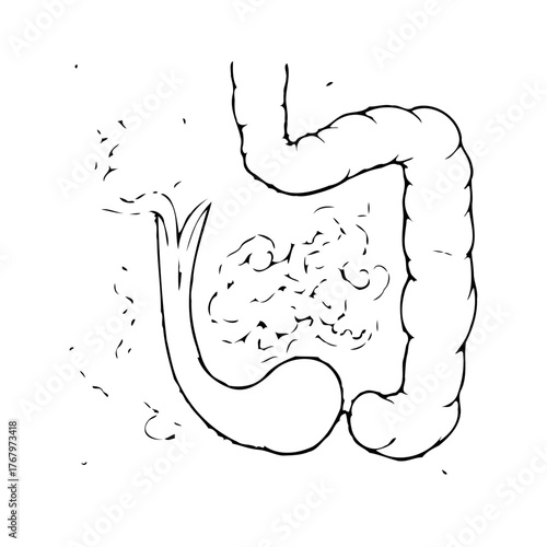 Hand-drawn illustration of the human digestive system showcasing intestines and lower bowel
