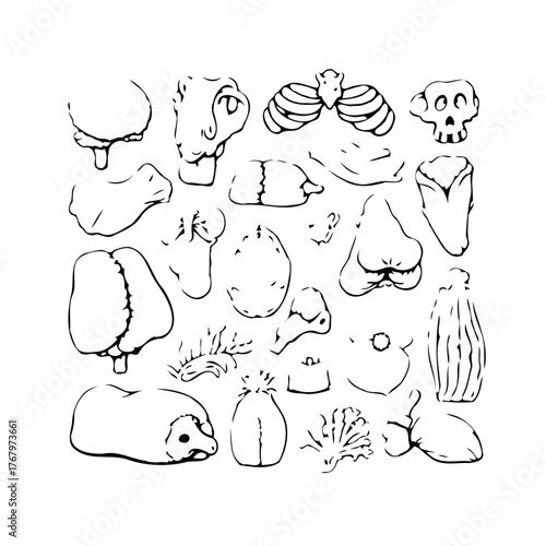 Illustrative journey through quirky black and white sketches encompassing anatomical oddities and