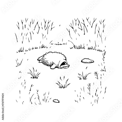 Monochrome sketch depicts the platypus resting amidst sparse foliage in a secluded clearing area