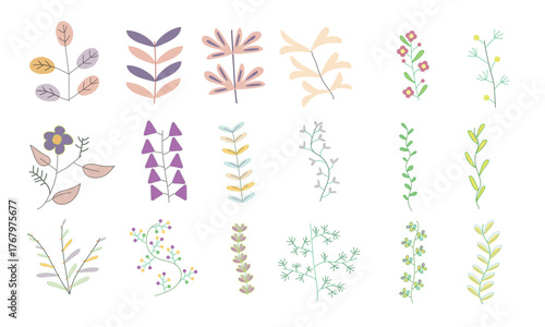 A collection of blooming flower branches and leaves for botanical decoration.