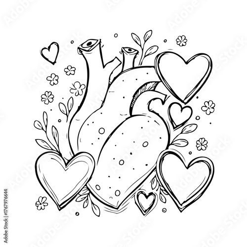 Sketch of heart with decorative floral accents conveys concepts of love and human anatomy in