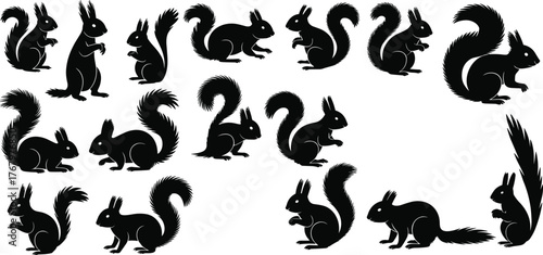 Tableau sur toile Squirrel silhouette set, bushy tail poses, wildlife vector illustration, black a