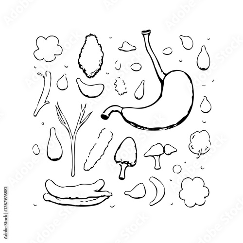 Stylized black and white sketch of human stomach and various foods for digestion educational content